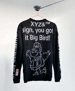 XYZ& sign, you got it Big Bird! Jacquard Sweater c/o Brand AndAndAnd (&&&)